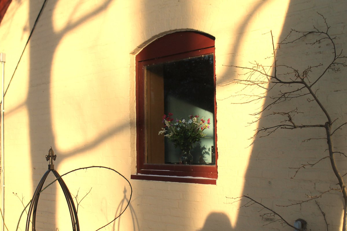 Flowers in the window.