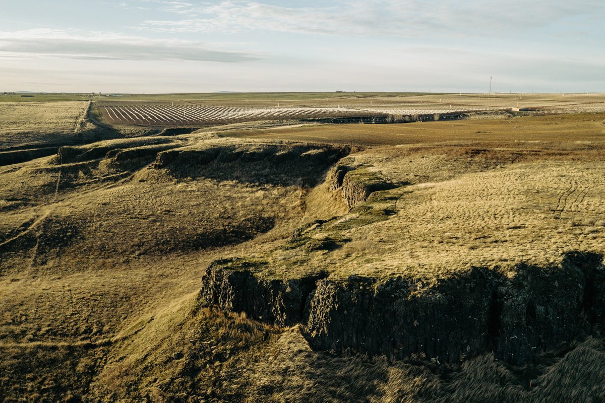 Erik Matuszewski tweet media