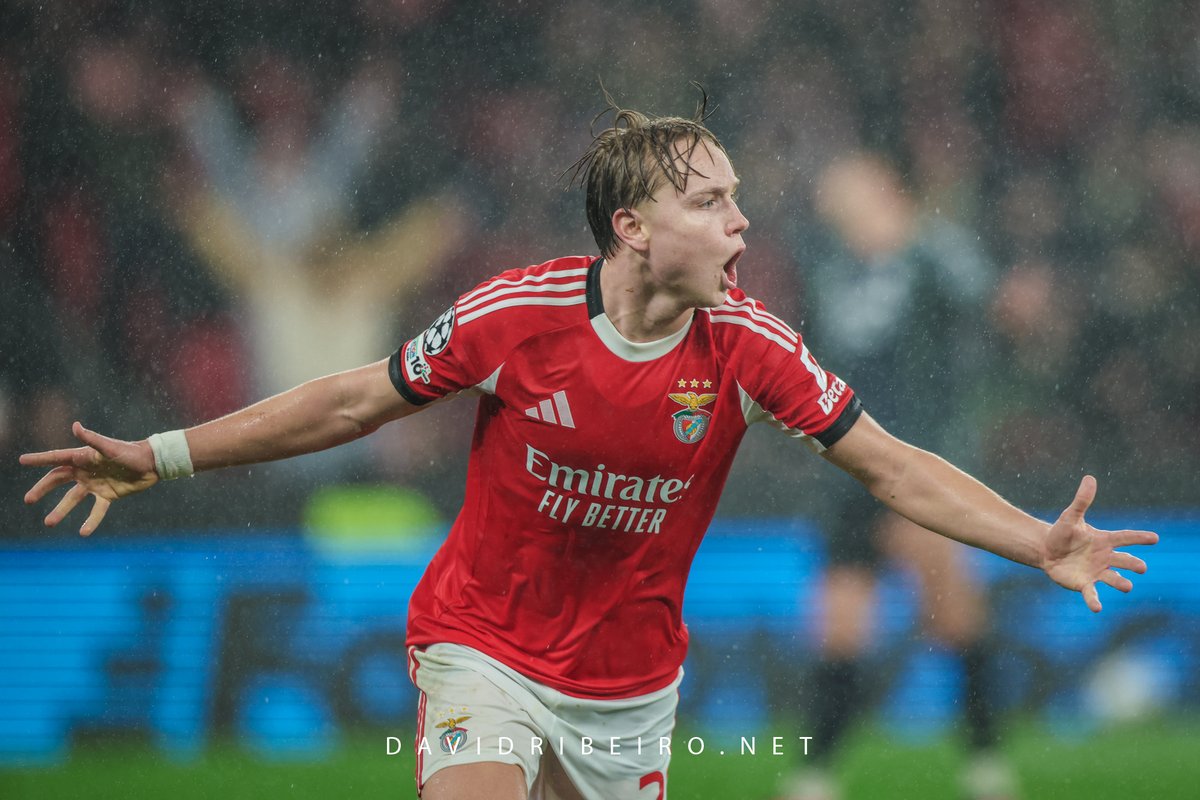 David Ribeiro tweet media