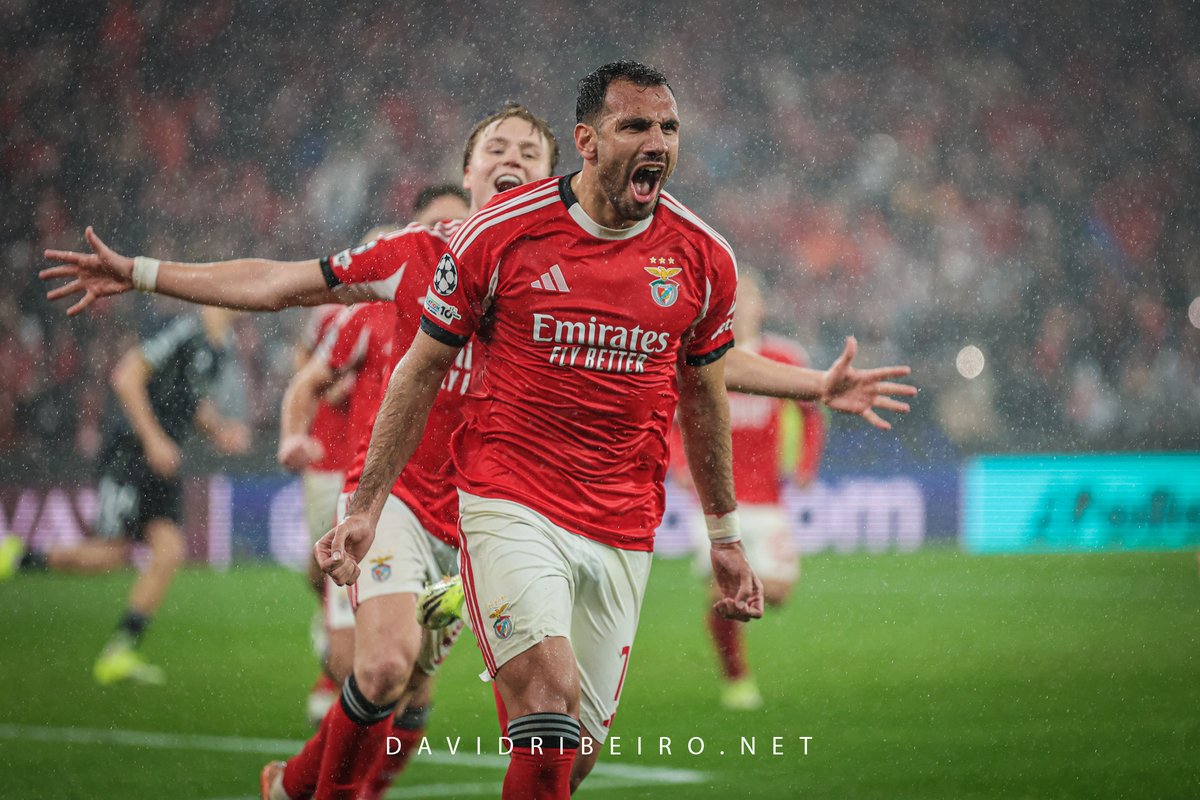 David Ribeiro tweet media