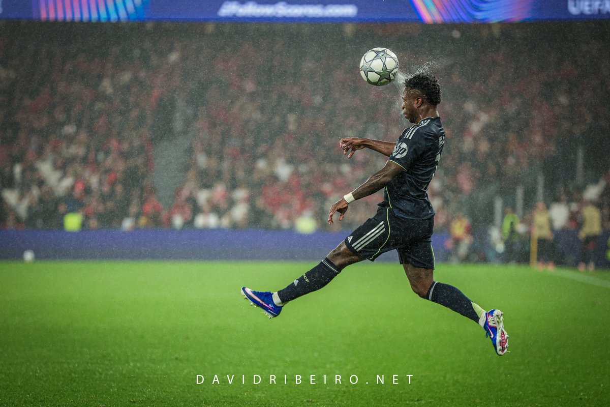 David Ribeiro tweet media