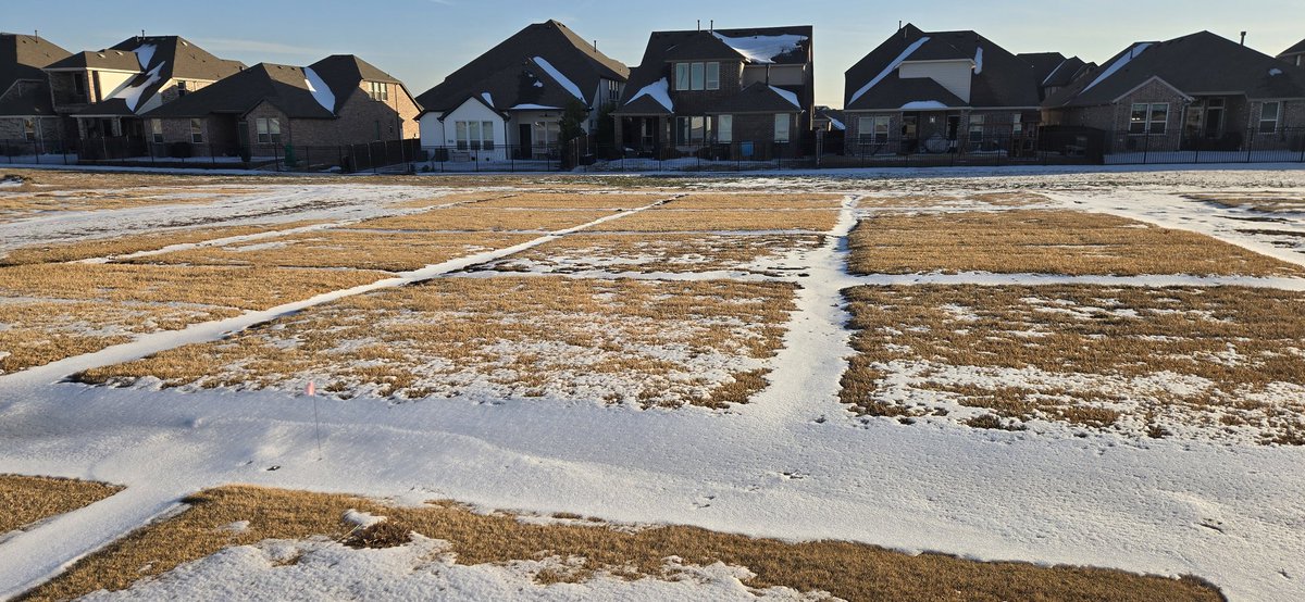 P. Agustin Boeri, Ph. D. tweet media