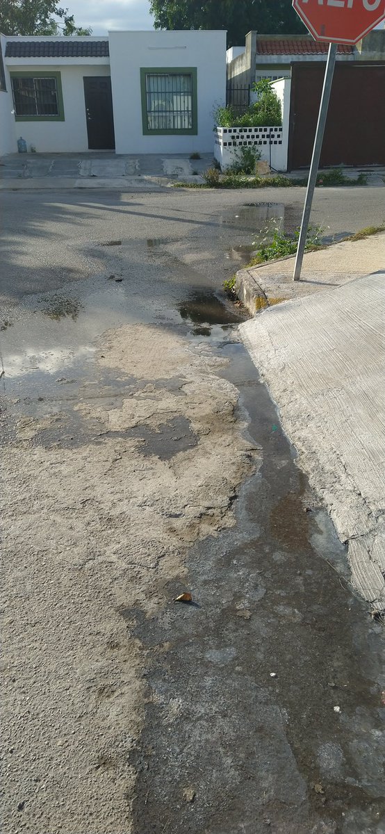 Comité Américas Mid tweet media