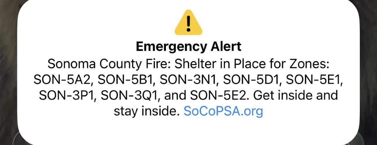 Brian Requarth tweet media