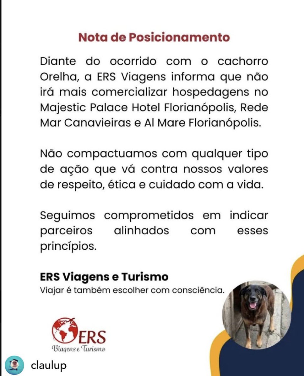 Pobre_d_Direita's tweet photo. Quem for para Floripa com pets, evite esses hotéis:
 
- Majestic Palace 
- Hotel Florianópolis
- Rede Mar Canavieiras 
- Al Mare Florianópolis

#justicapororelha https://t.co/uQNg9Jju7K