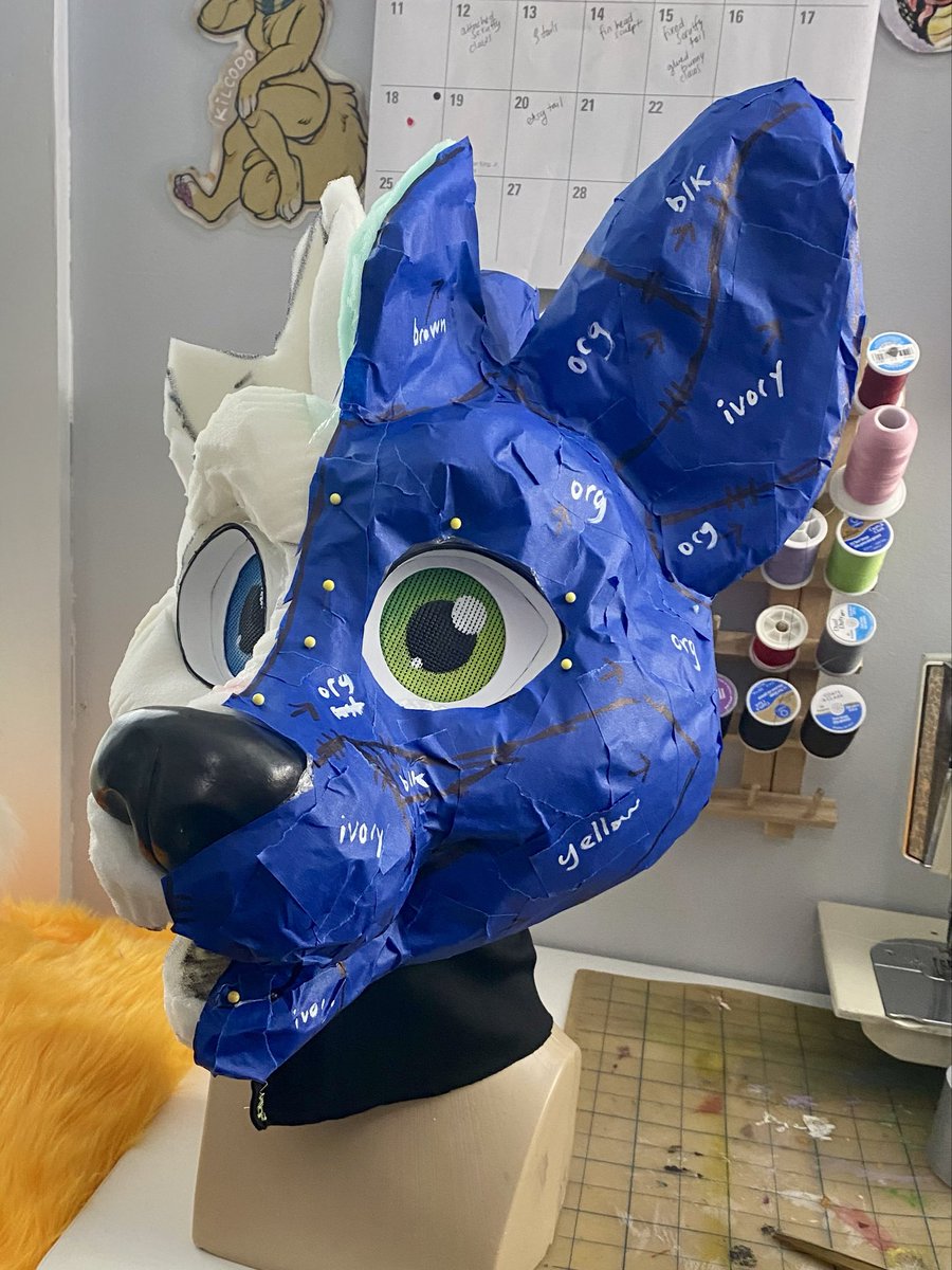 Kilcodo! 🐾💛 tweet media