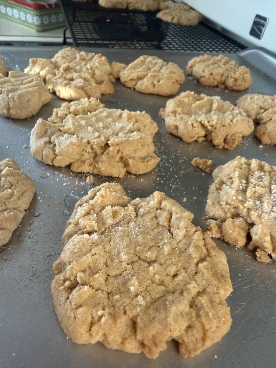 Hounds spent a snow day this week hoping for a little taste of some peanut butter cookies! 🍪 Pete and Elwood approved, delicious. #beagle #cookies #peanutbutter #please #taste #delicious
