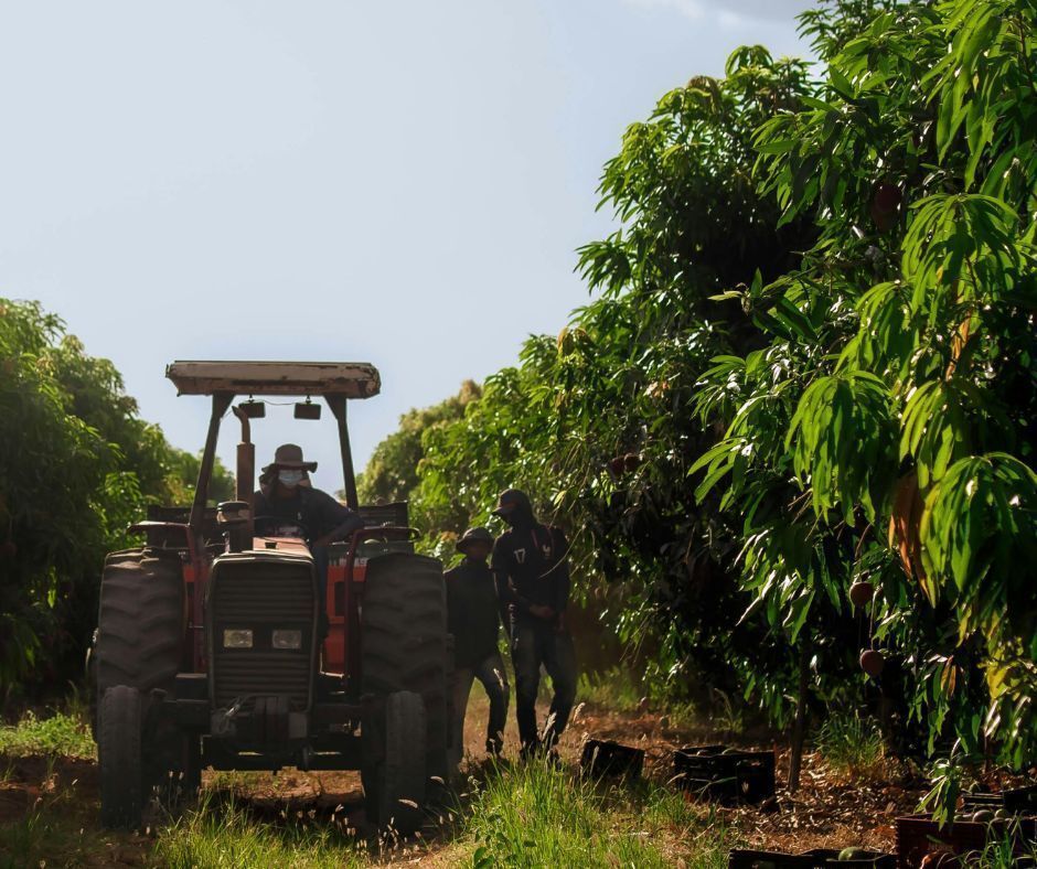 Rural West tweet media