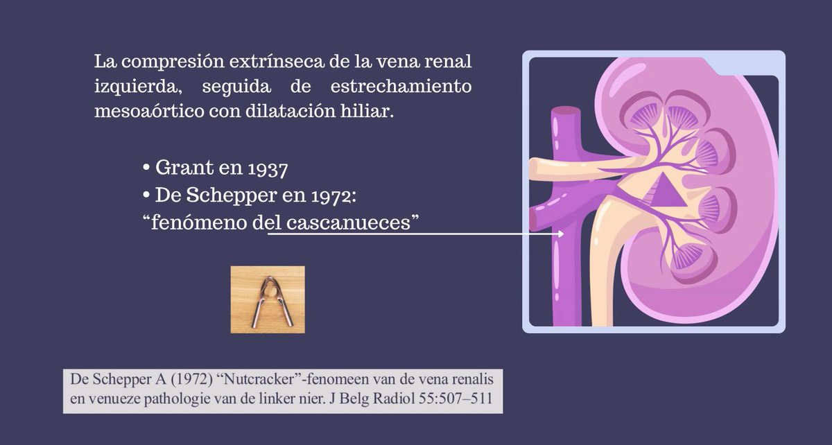 Reyna_Ester👩‍⚕️ tweet media