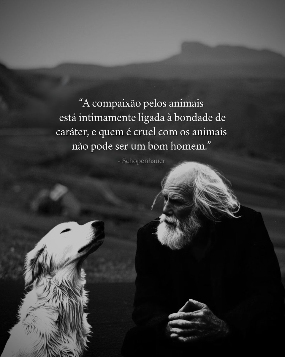 filosofia de poder (@mensagemdepoder) on Twitter photo 