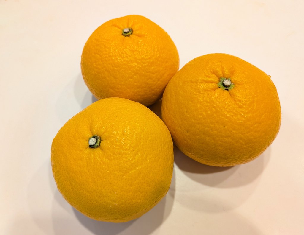 01asim1oa's tweet image. カニになれ🪄
失敗したら「柑橘おいしい」ってつぶやくので見守ってください
おはようございます