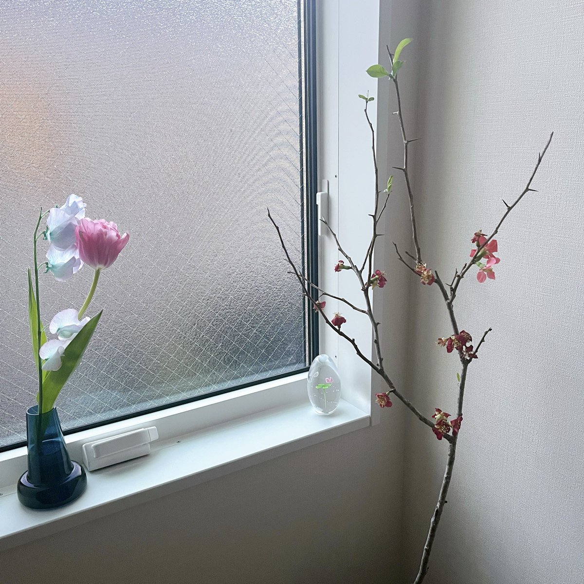 かとう有花 tweet media