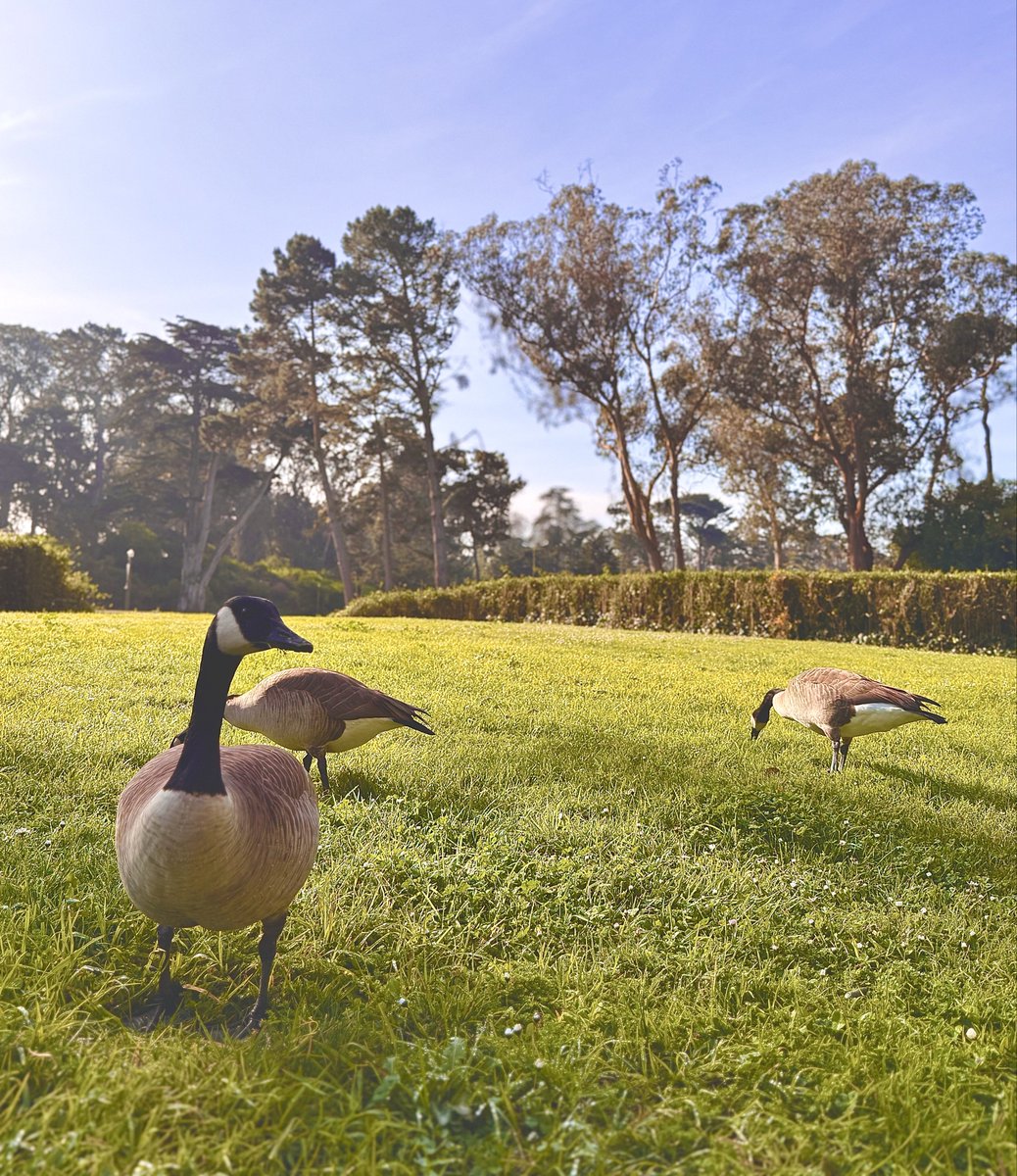 THΞGABO🍌 tweet media