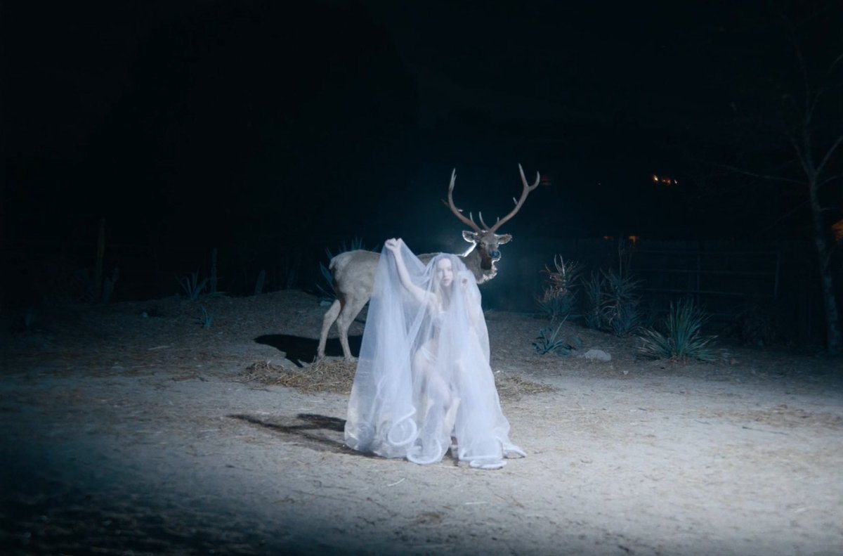 𝖫𝗂́𝖺 𝖡. 𝖱𝗈𝗌𝗂𝖾𝗋 // Off temp. tweet media