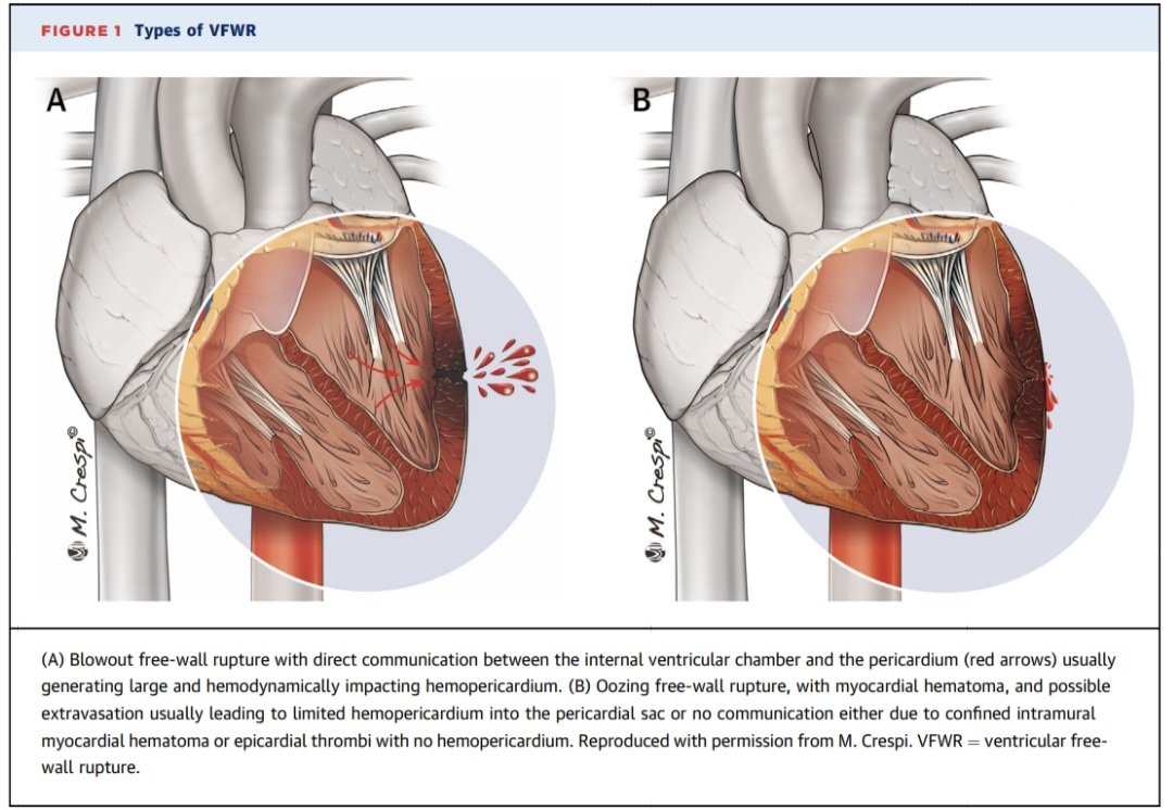 Dr. FEVI🫀🩺 tweet media