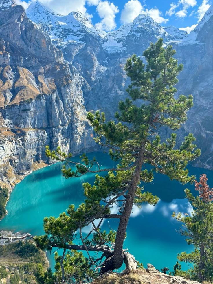 . (@v122u) on Twitter photo 