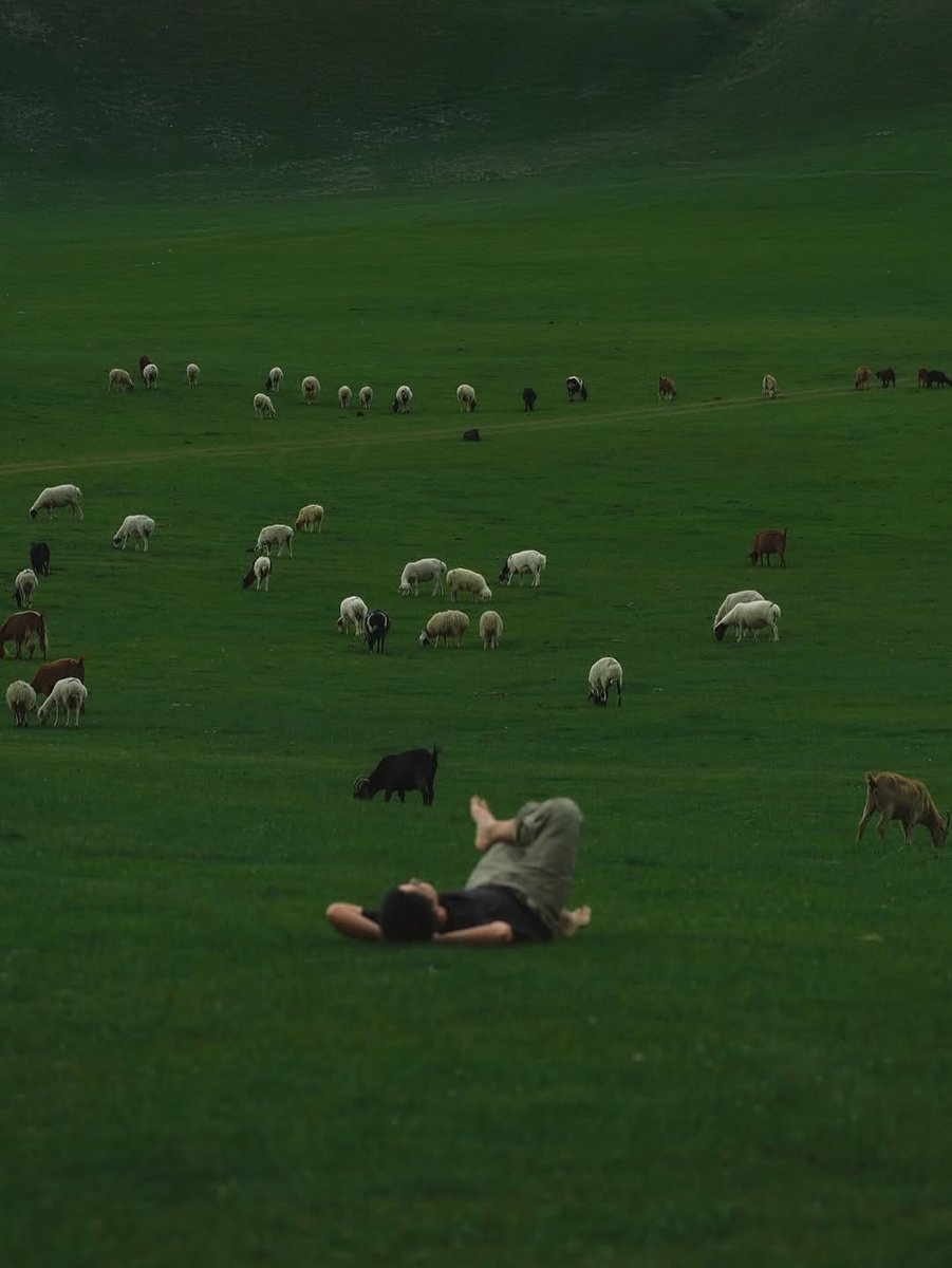 . (@v122u) on Twitter photo 