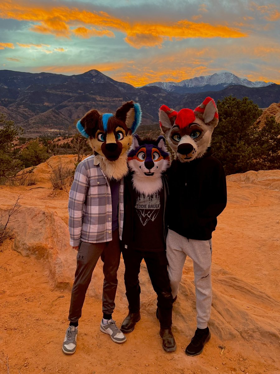 Kamots (@Kamots_Wolf) / Posts / X