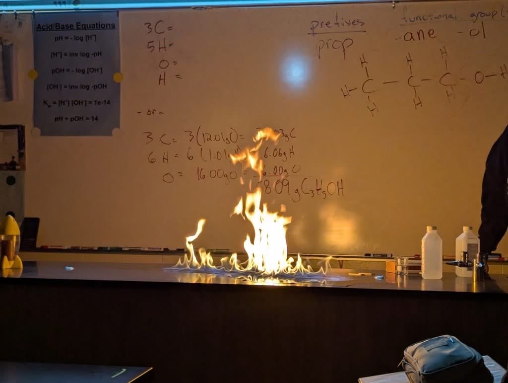 Todd Hollis tweet media