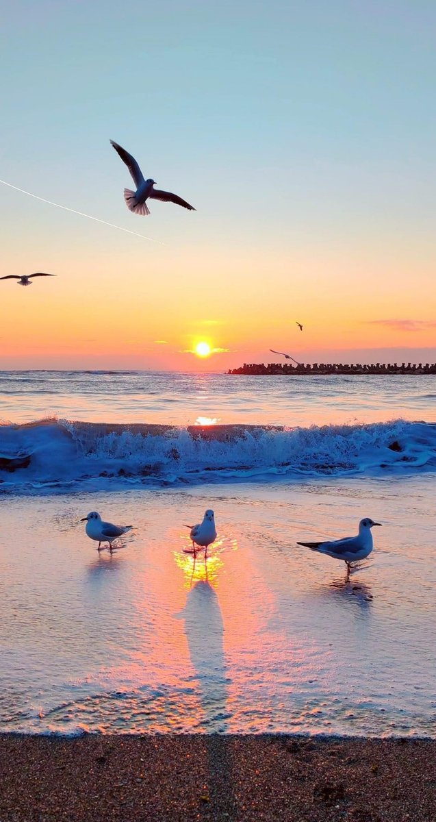 . (@v122u) on Twitter photo 