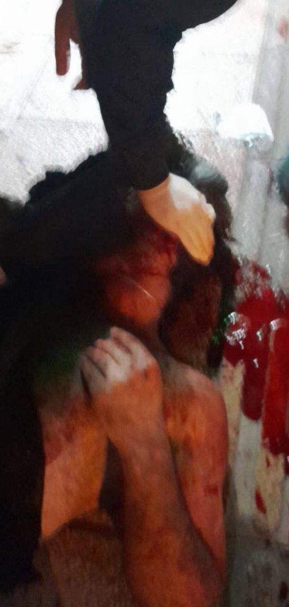 Vahid Online tweet media