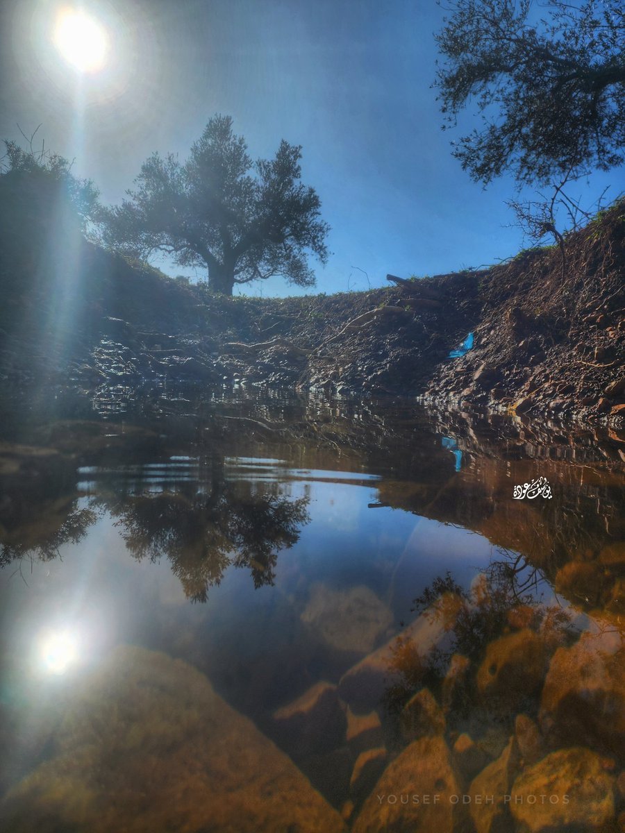 . (@v122u) on Twitter photo 