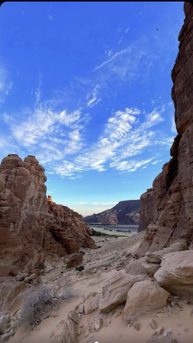 . (@v122u) on Twitter photo 