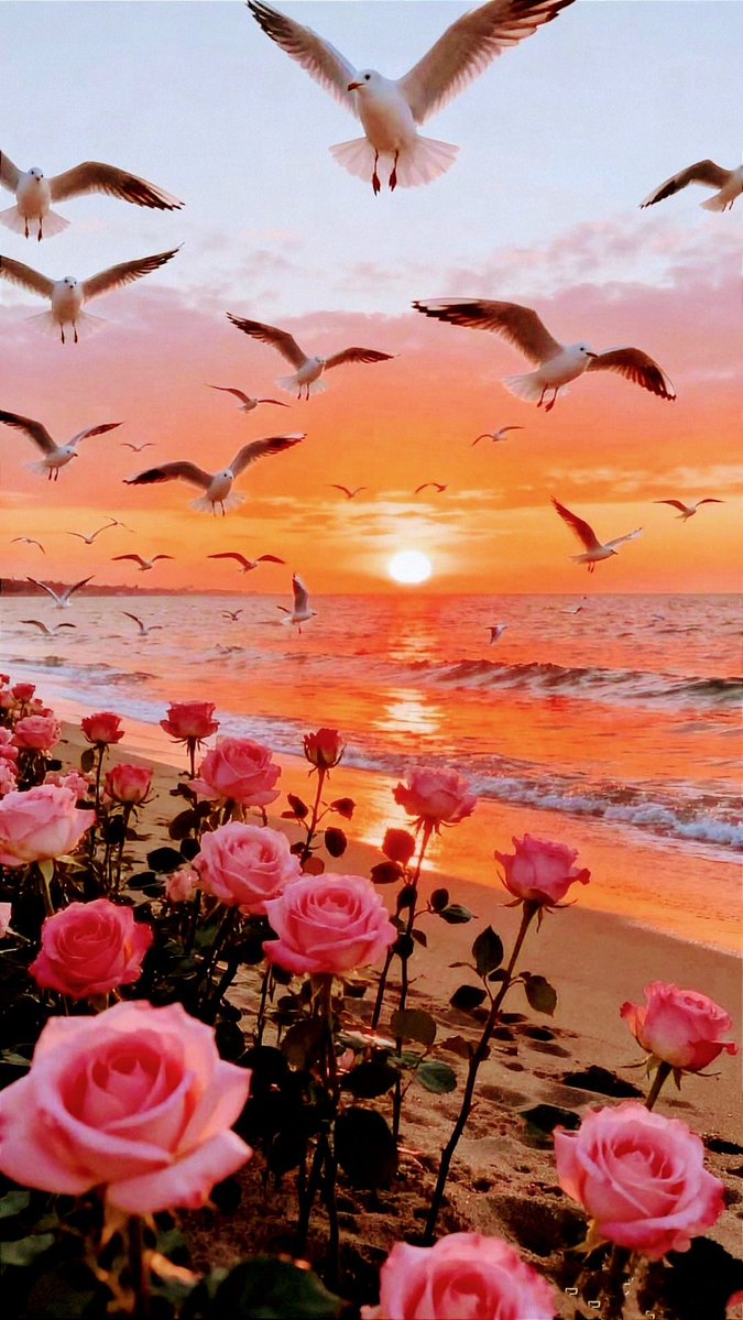 . (@v122u) on Twitter photo 