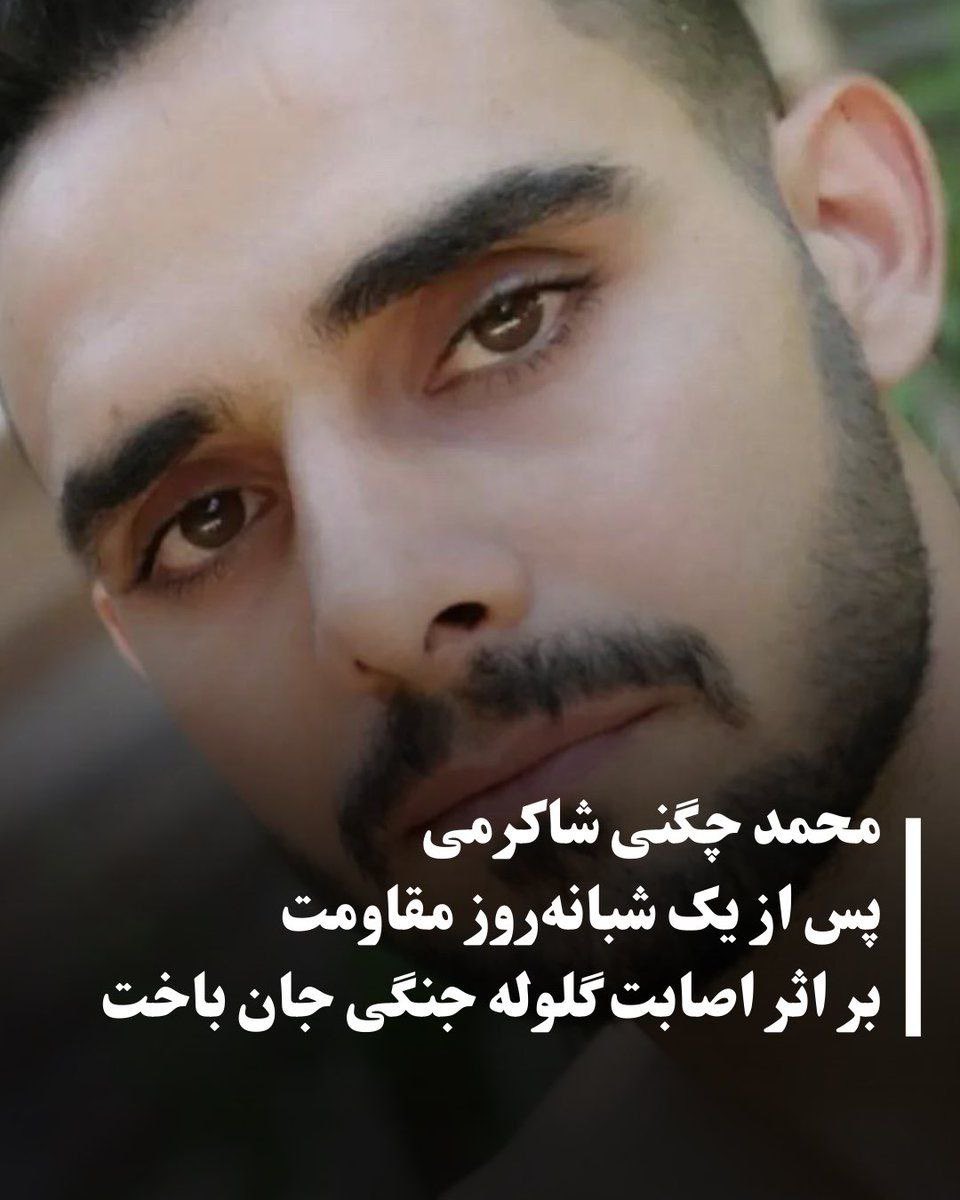 Mohammad Chogeni-Shakarami, a young man from Khorramabad, was seriously injured on January 8 after being hit by a live bullet. The bullet entered from his right side and exited from his left side. After he fell to the ground, he was shot again with a pellet gun in the thigh area,
