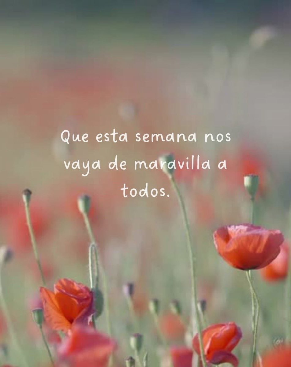 Pensamientos (@frasesimple) on Twitter photo 