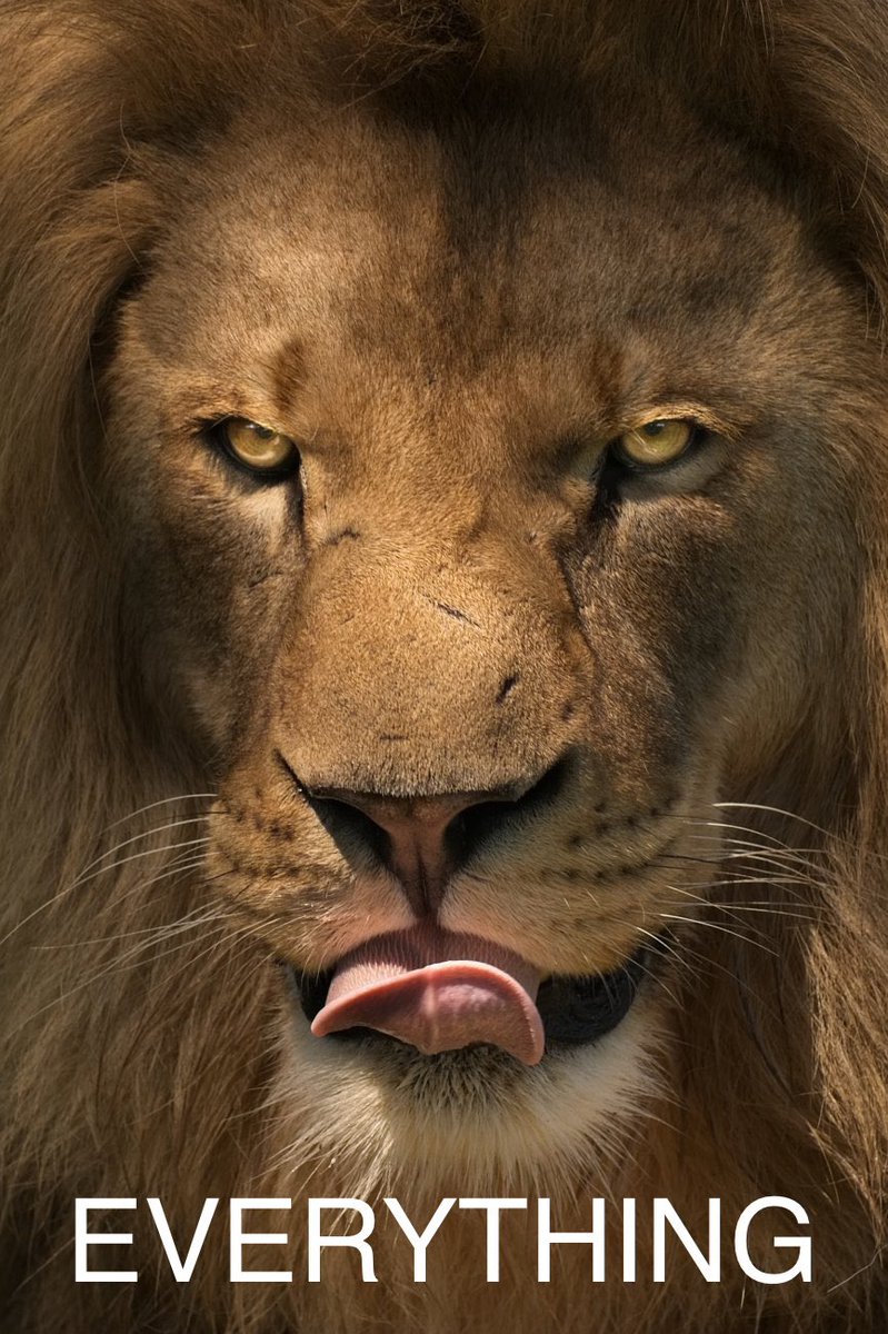 Zolo: Sertralion on the other app too tweet media