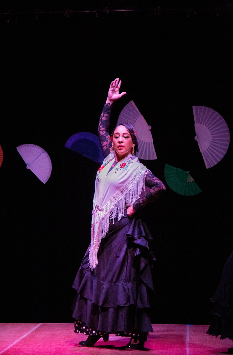 Vida Flamenca tweet media