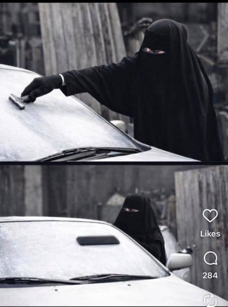 dvdcoyote's tweet image. 