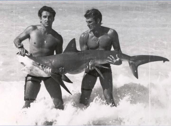 American Sublime Radio tweet media