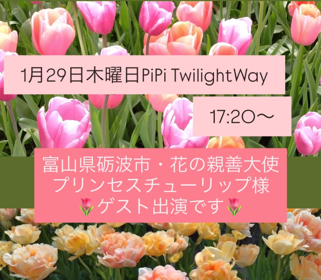 FMPiPi's tweet image. 💡本日のゲスト出演のおしらせ💡
PiPi Twilight Way内　17:20〜
富山県砺波市・花の親善大使
プリンセスチューリップ様がご出演！📻
お楽しみに💐！
#プリンセスチューリップ
#fmpipi #富山県砺波市