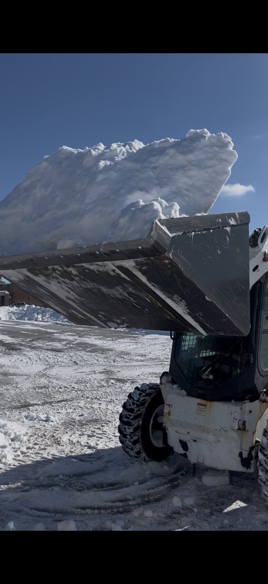 The Grounds Department tweet media