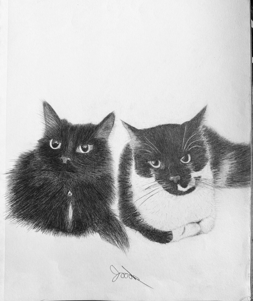 SladesSpades's tweet photo. Love overflowing etched onto paper. https://t.co/HyYsxd9kX7