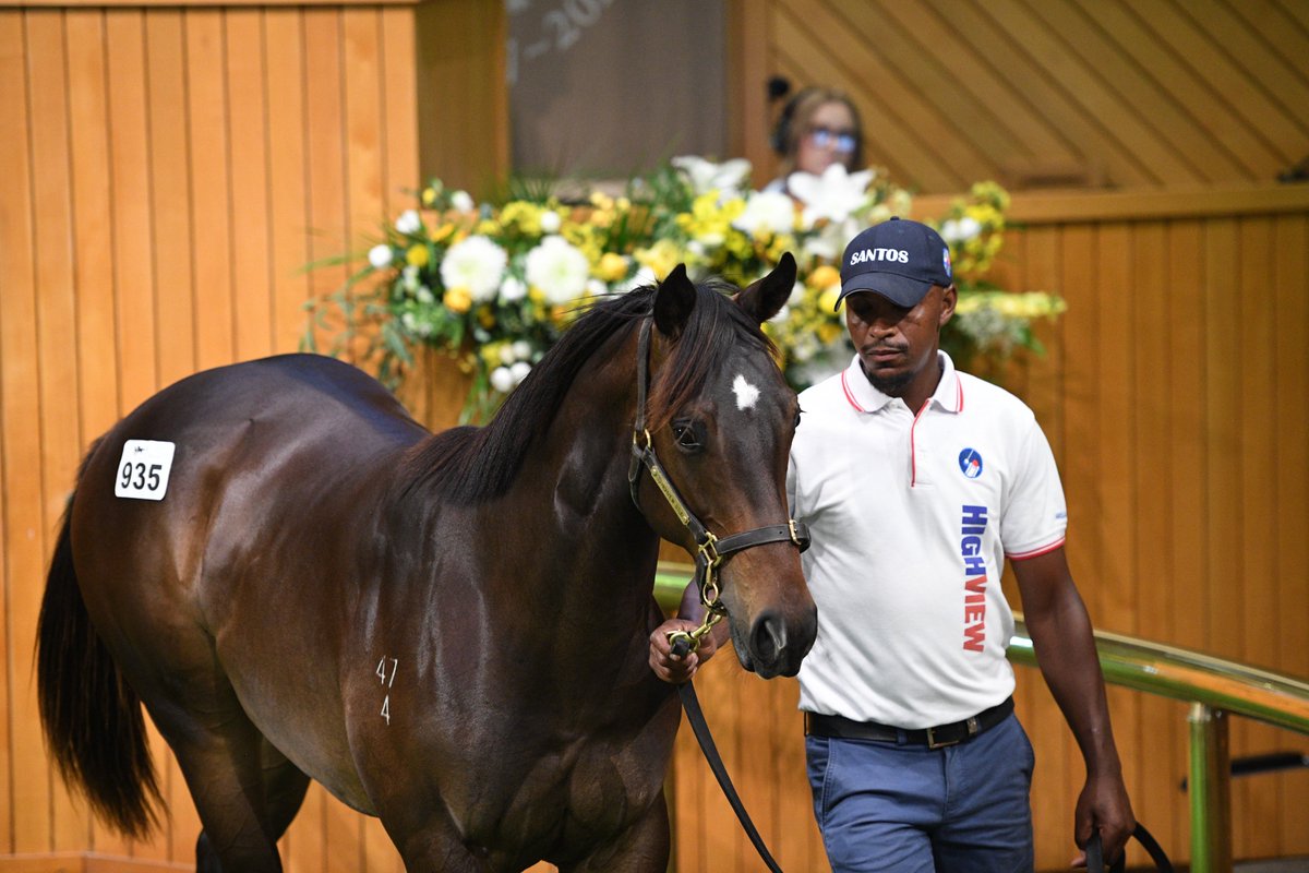 New Zealand Bloodstock tweet media
