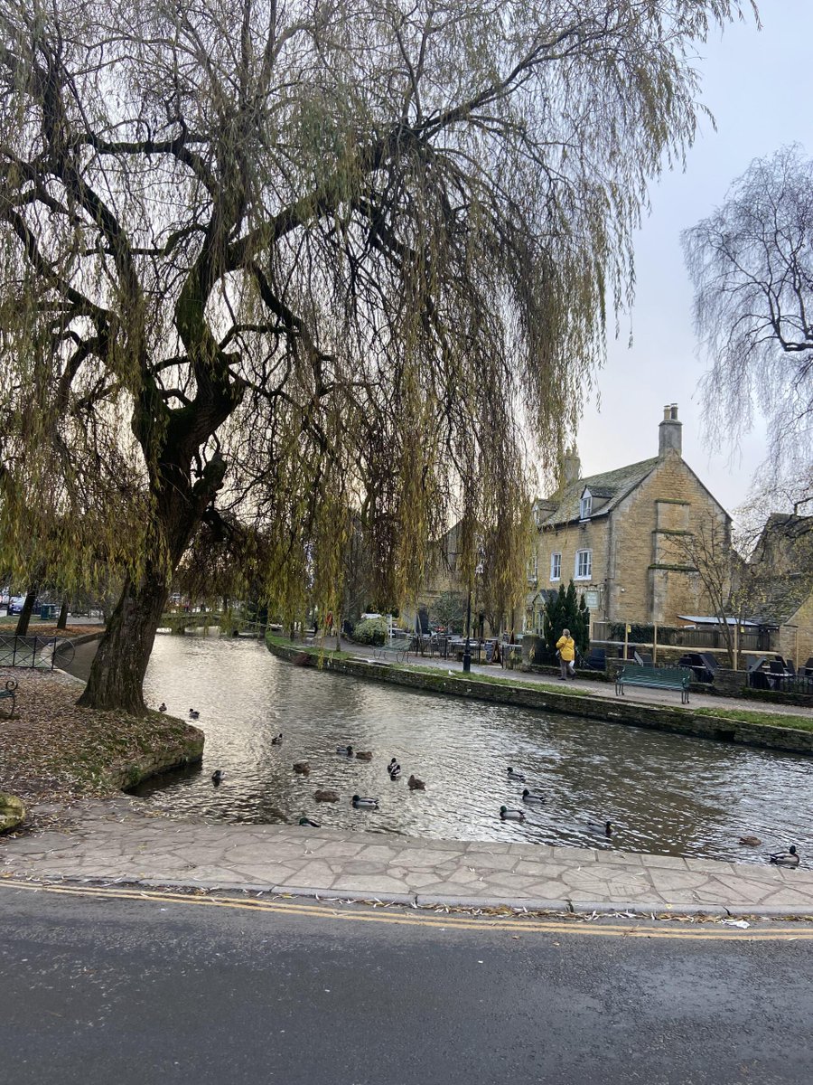 Lance Raver tweet media