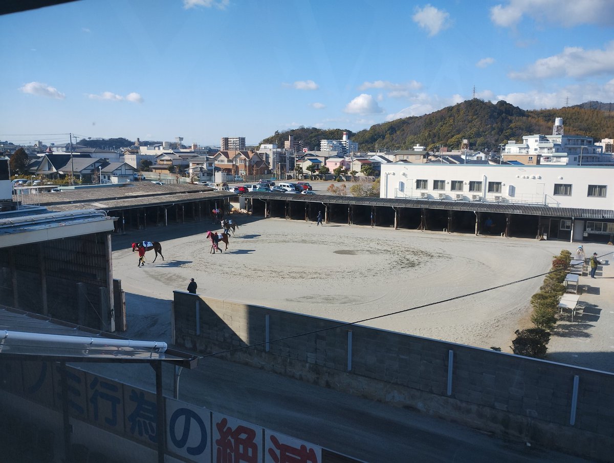 キレイな競馬場です。年に2ヶ月しか開催しないなんてもったいない！

※ヨシノリッキーを応援しに来たワケではありません