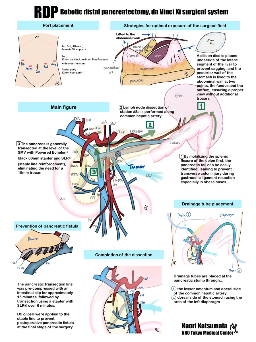 Japan Society for Endoscopic Surgery (JSES) tweet media