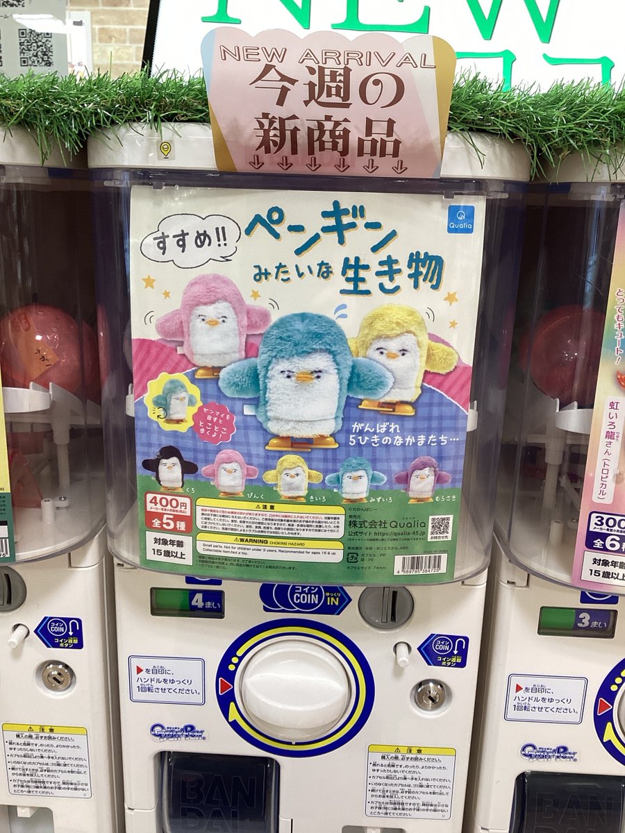 わかんぱにー☺︎ (@wkn8) / Posts / X