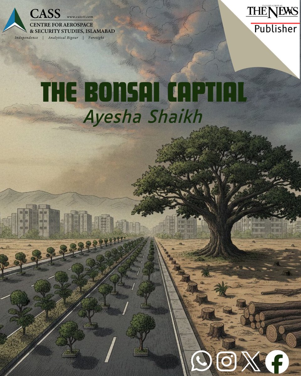 CassThinkers's tweet image. The city that was once known for its ability to conserve greenery and blooms every season is now under the spell of massive tree-massacre and bonsai plantations

📰 @thenews_intl 
✒️ @AyeshaShaikh_8 
🔗 casstt.com/the-bonsai-cap…

#Treecutting #ClimateChange #Bonsai #plantation