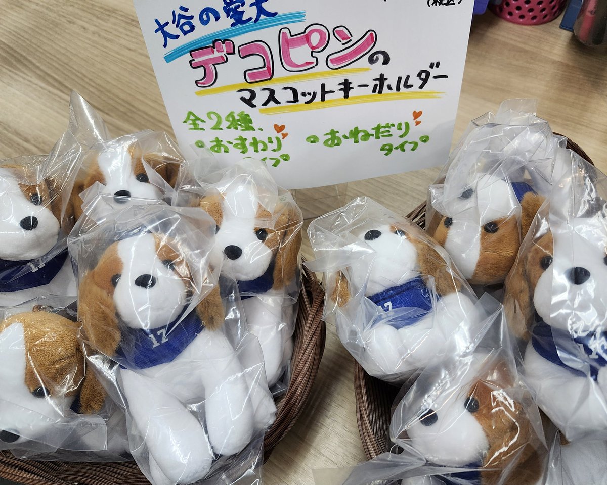 雑貨】#大谷翔平 選手の愛犬 #デコピン のとっても可愛いぬいぐるみ