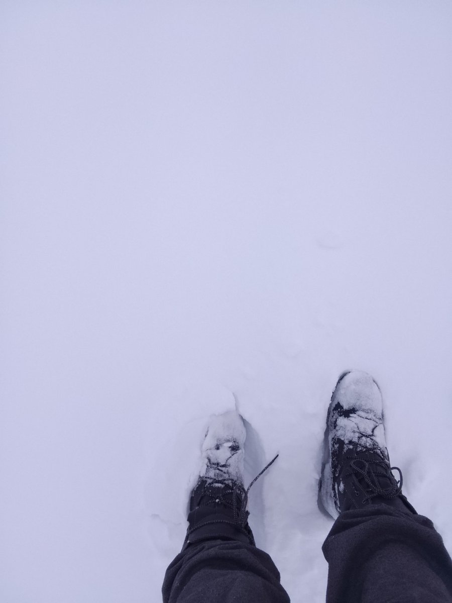 Если есть шаг,должен быть след.