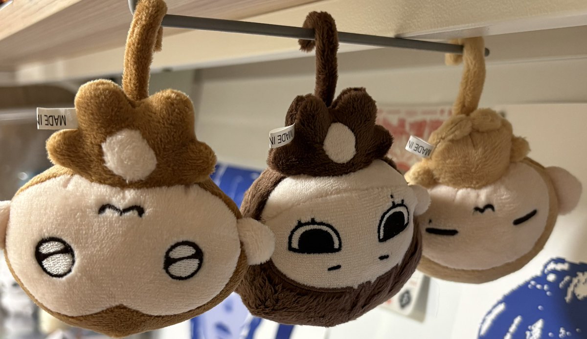 박박이 tweet media