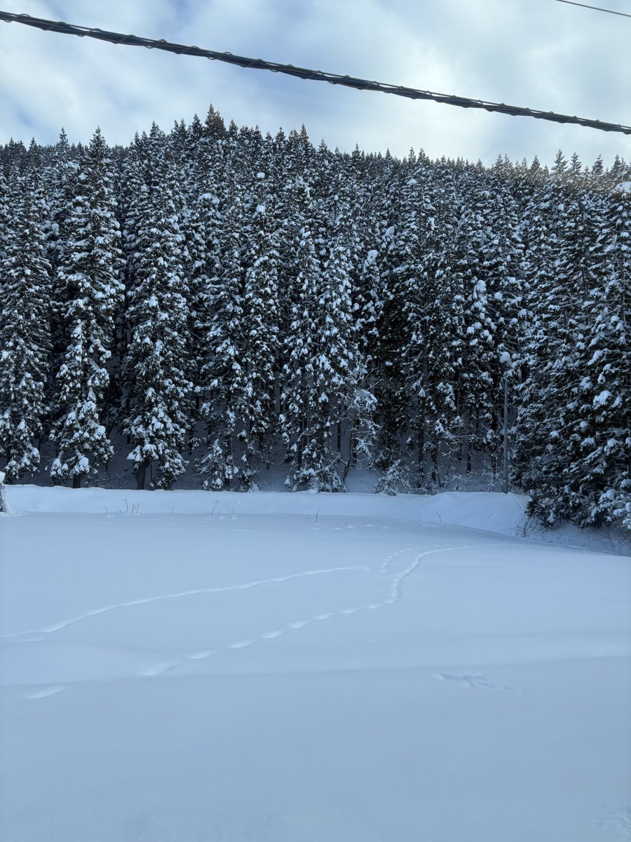 Gaurav Chaturvedi tweet media