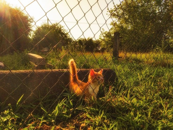 lilladydotcom's tweet image. ₊˚꩜ open me .ᐟ.ᐟ ✮˚₊