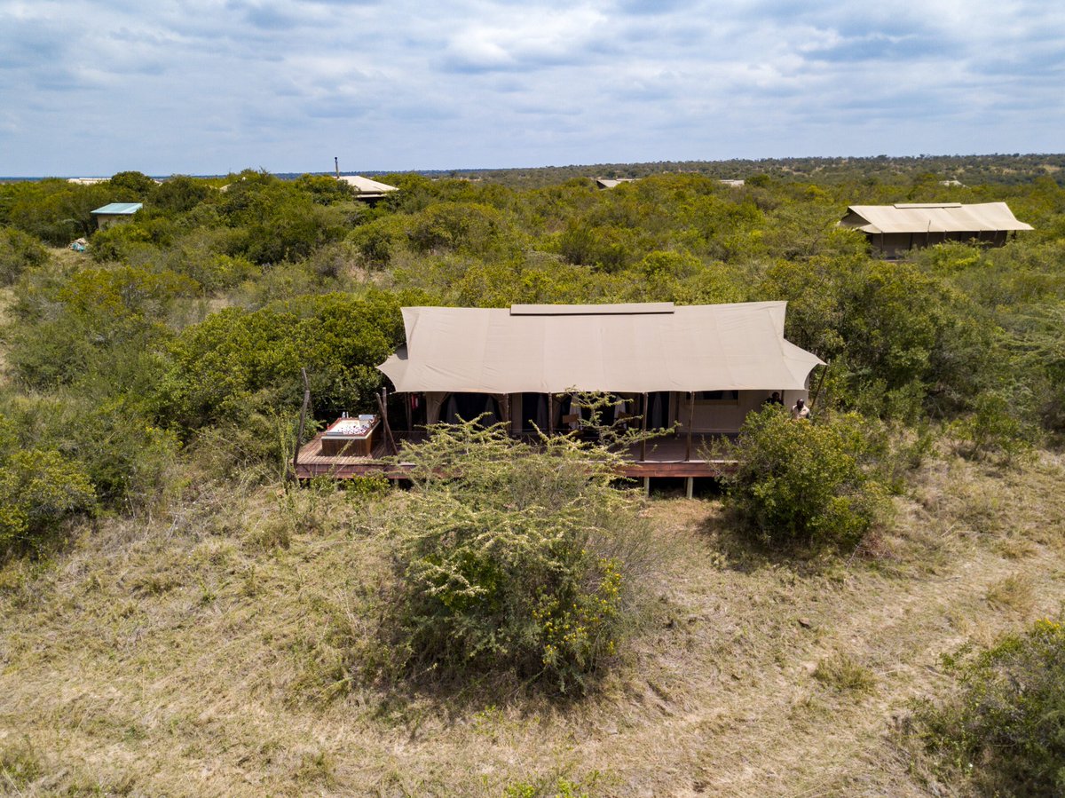 exploit_safaris's tweet photo. https://t.co/eqbFQ7oS1y