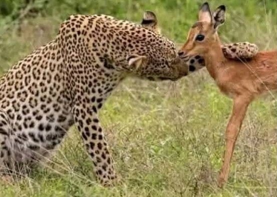 Now Patel is buying ice cream and KFC for his girl using our money 💰 he bagged last night during the UCL. 🤗🙌. Later they head to a car bond.😭😭.